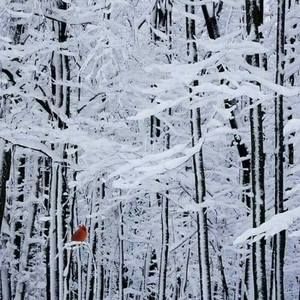 Meet your Posher, Teri